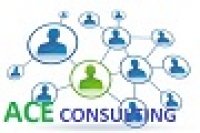 ACE CONSULTING