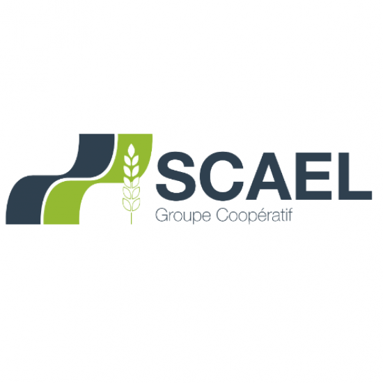 GROUPE SCAEL